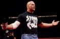 Rev Reclama Da WWF